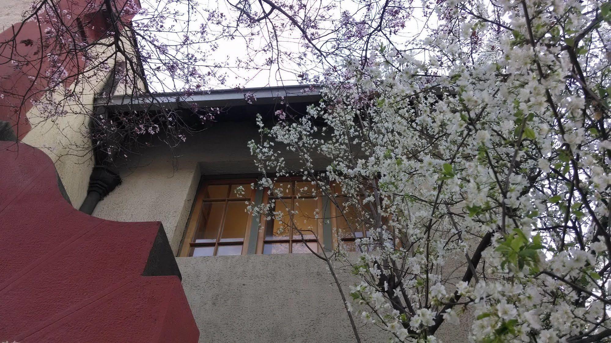 Providencia Bed & Breakfast Σαντιάγκο Εξωτερικό φωτογραφία